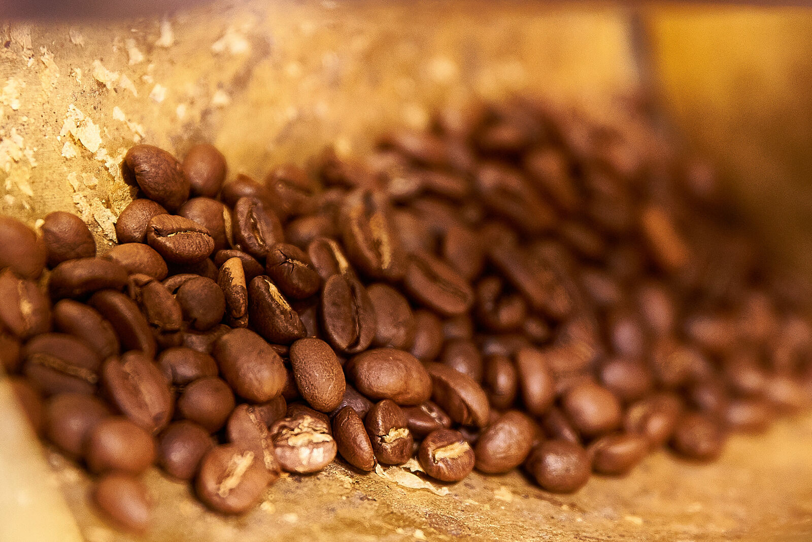 コーヒーから作られたヴィーガンレザー フォルクスワーゲン公式